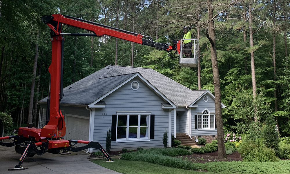 Preparing Your Yard for Tree Removal