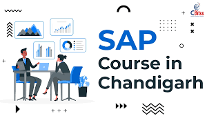 SAP Course in Chandigarh