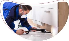 best pest control services